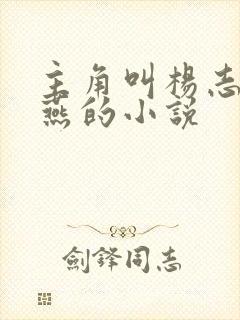 主角叫杨志诚徐燕的小说