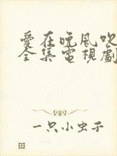 爱在晚风吹短剧全集电视剧