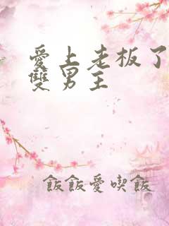 爱上老板了韩剧双男主