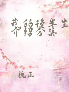 我的后半生剧情介绍分集
