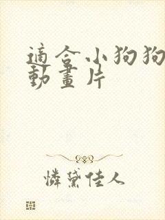 适合小狗狗看的动画片