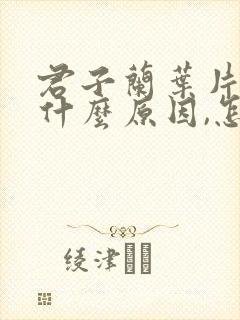 君子兰叶片发黄什么原因,怎么治