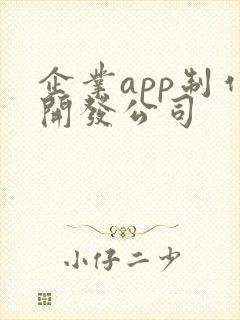 企业app制作开发公司