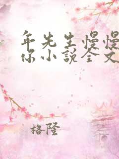 年先生慢慢喜欢你小说全文免费阅读