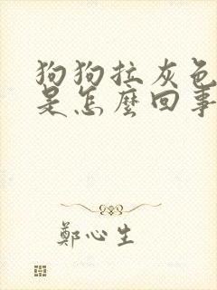 狗狗拉灰色稀便是怎么回事
