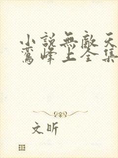 小说无敌天命青鸾峰上全集