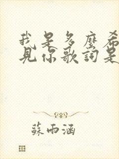 我是多么希望遇见你歌词是哪首歌