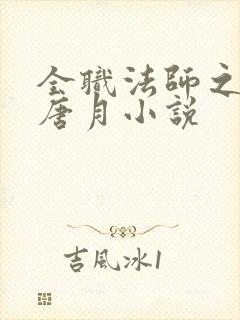 全职法师之推倒唐月小说