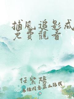 捕风追影成龙版免费观看