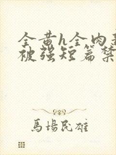 全黄h全肉新婚被强短篇禁乱