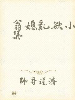 翁媳乱欲小说合集