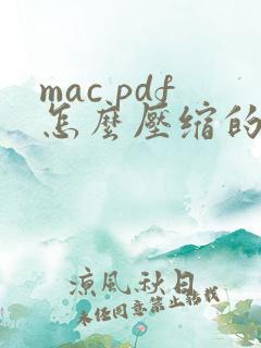 mac pdf怎么压缩的小一点