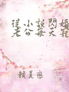 从小说闪婚后,老公每天宠上天小说
