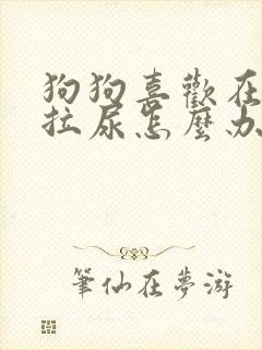 狗狗喜欢在楼道拉尿怎么办