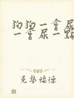 狗狗一会尿一点一会尿一点怎么回事