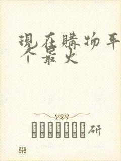 现在购物平台哪个最火