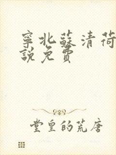 宁北苏清荷 小说免费