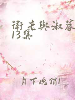 卫老与淑蓉1一13集
