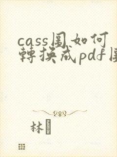 cass图如何转换成pdf图