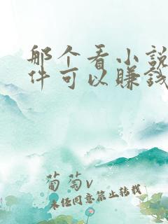 那个看小说的软件可以赚钱
