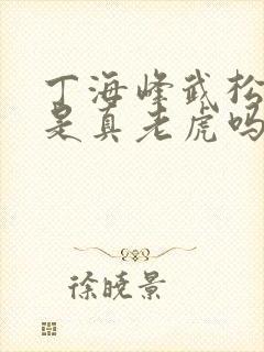 丁海峰武松打虎是真老虎吗