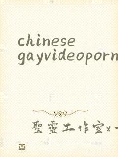 chinesegayvideoporn