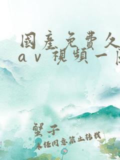 国产免费久久一aⅴ视频一区二区