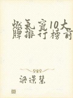 燃气灶10大品牌排行榜前十名