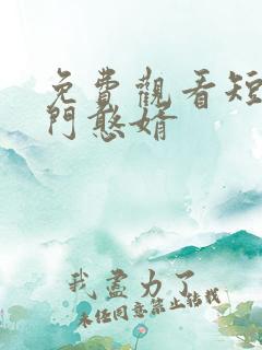 免费观看短剧豪门憨婿