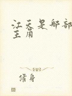 江天是哪部小说主角