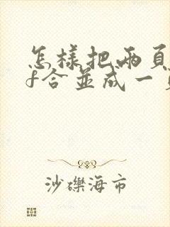 怎样把两页pdf合并成一页