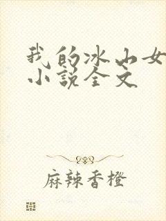 我的冰山女总裁小说全文