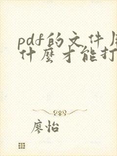 pdf的文件用什么才能打开