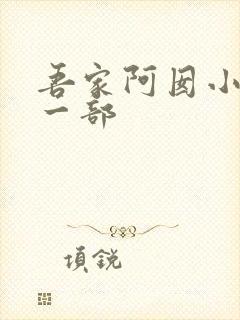 吾家阿囡小说第一部