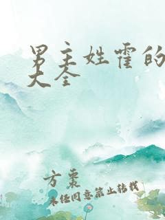 男主姓霍的小说大全