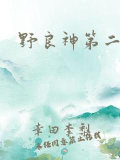 野良神第二部