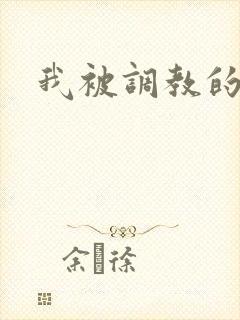 我被调教的经历
