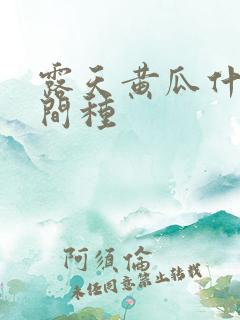 露天黄瓜什么时间种