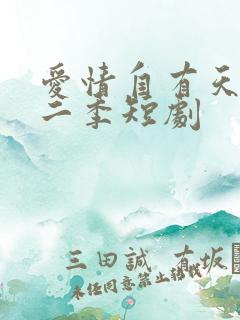 爱情自有天意第二季短剧