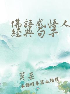 佛语感悟人生的经典句子