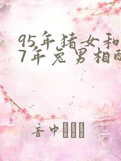 95年猪女和87年兔男相配吗