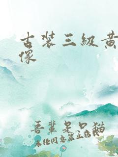 古装三级黄色录像
