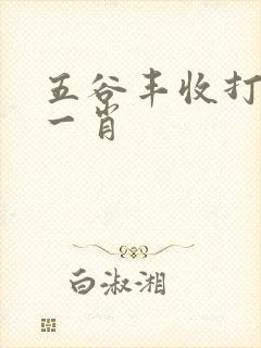 五谷丰收打正确一肖