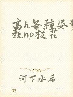 高h各种姿势调教np校花