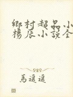 乡村超品小仙医杨辰小说全文免费阅读