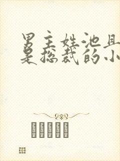 男主姓池且男主是总裁的小说