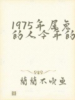 1975年属兔的人今年的运气怎么样