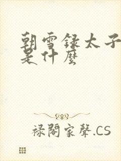 朝雪录太子结局是什么