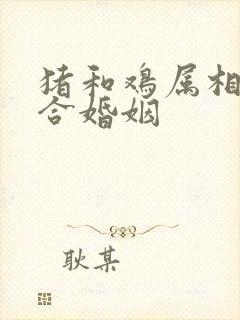 猪和鸡属相合不合婚姻