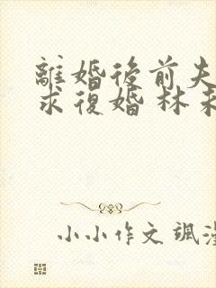 离婚后前夫哭着求复婚 林未央